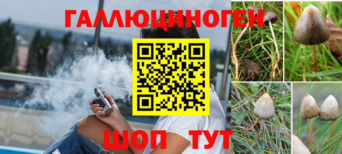 где купить   Галлюциногенные грибы мухоморы  Вход с VPN  Моздок 